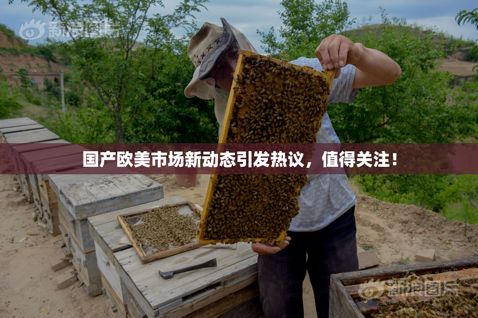 国产欧美市场新动态引发热议，值得关注！