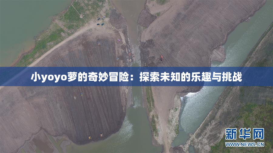 小yoyo萝的奇妙冒险：探索未知的乐趣与挑战