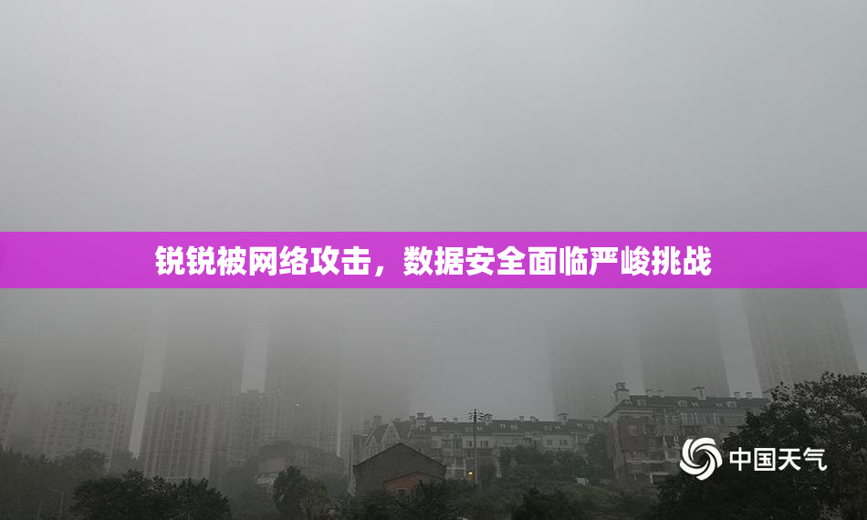锐锐被网络攻击，数据安全面临严峻挑战