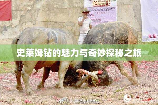 史莱姆钻的魅力与奇妙探秘之旅