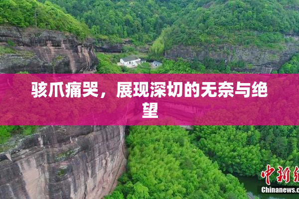 骇爪痛哭，展现深切的无奈与绝望