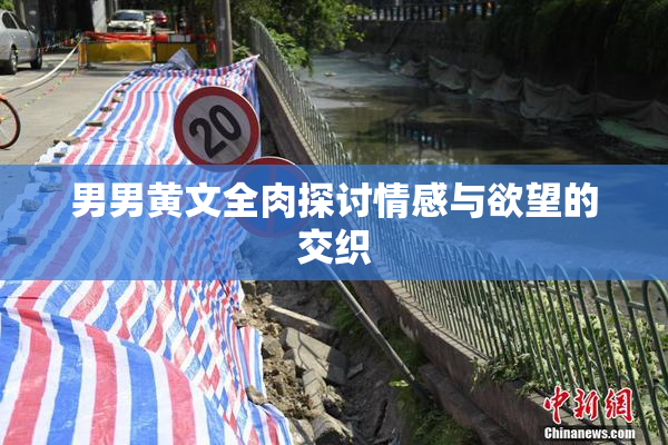 男男黄文全肉探讨情感与欲望的交织