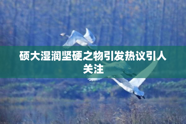 硕大湿润坚硬之物引发热议引人关注