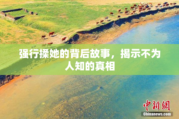 强行揉她的背后故事，揭示不为人知的真相