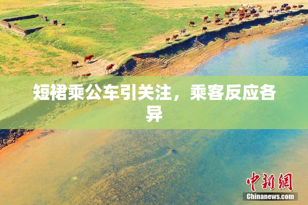 短裙乘公车引关注，乘客反应各异
