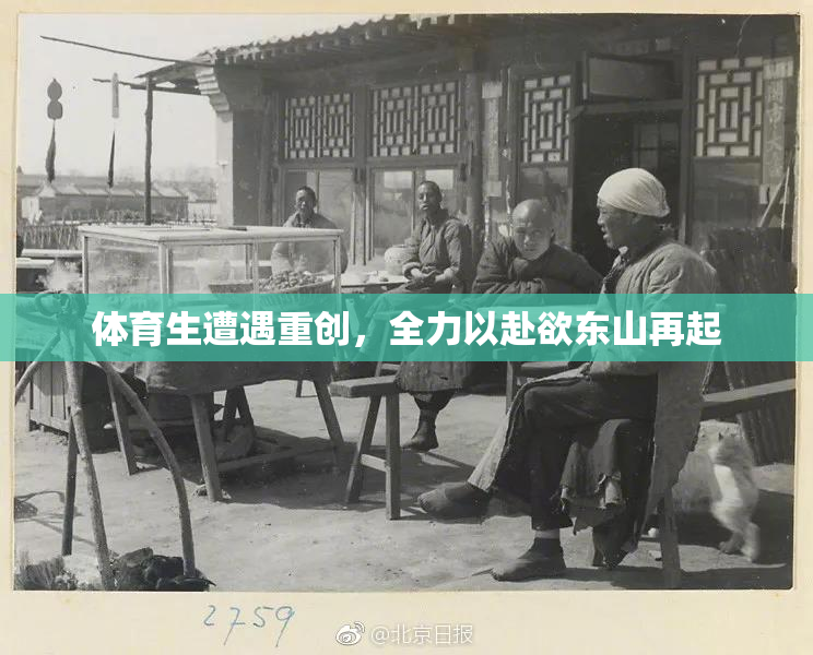 体育生遭遇重创，全力以赴欲东山再起