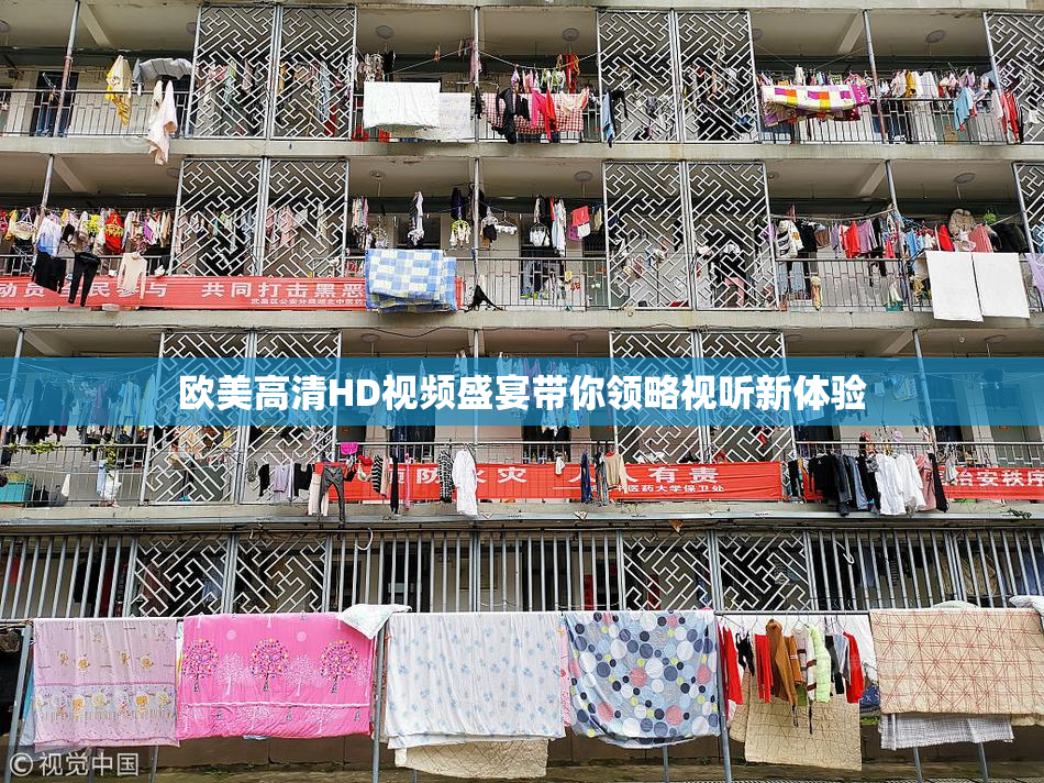 欧美高清HD视频盛宴带你领略视听新体验