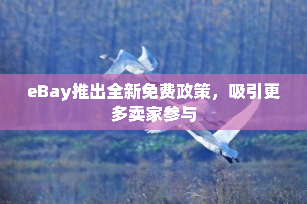 eBay推出全新免费政策，吸引更多卖家参与