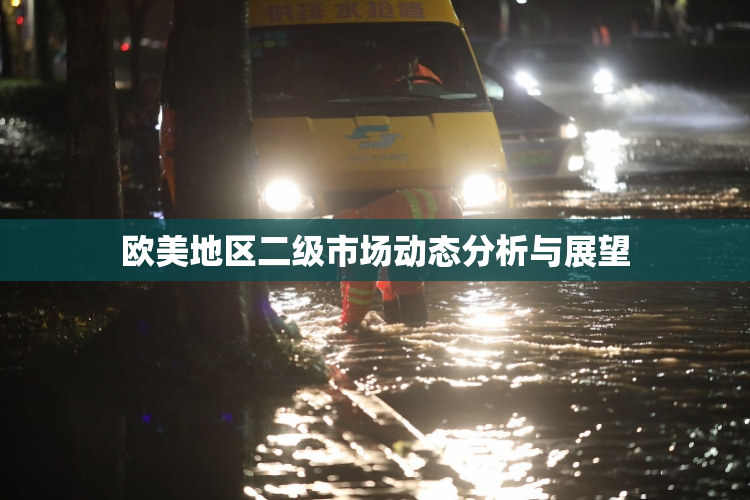 欧美地区二级市场动态分析与展望
