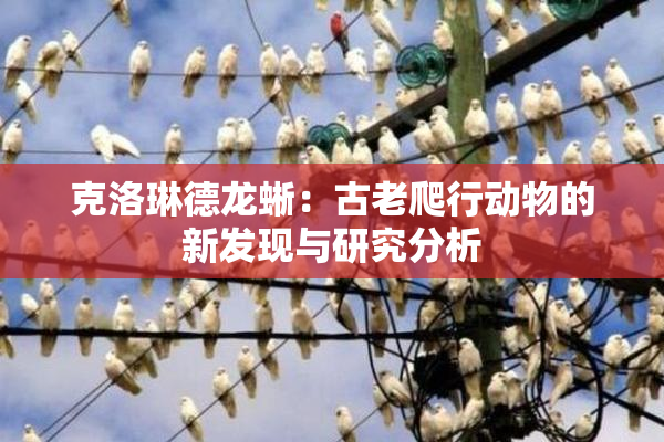克洛琳德龙蜥：古老爬行动物的新发现与研究分析