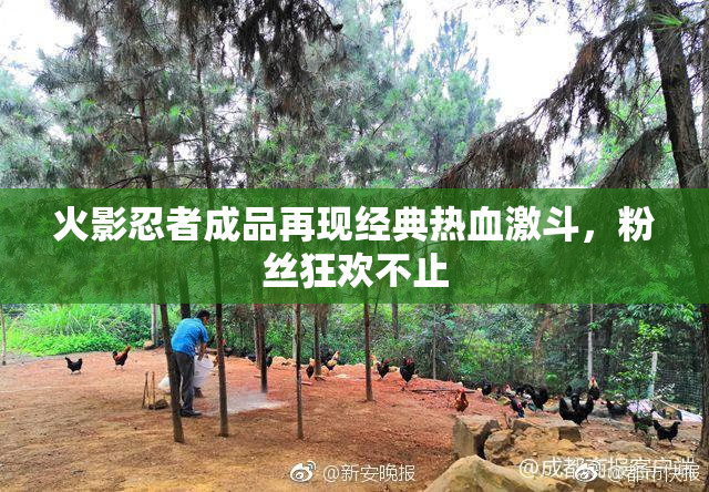 火影忍者成品再现经典热血激斗，粉丝狂欢不止