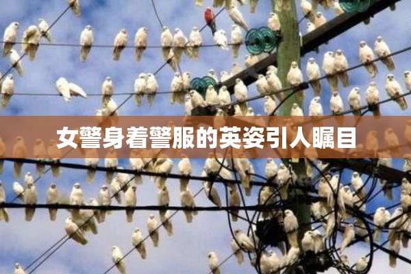 女警身着警服的英姿引人瞩目