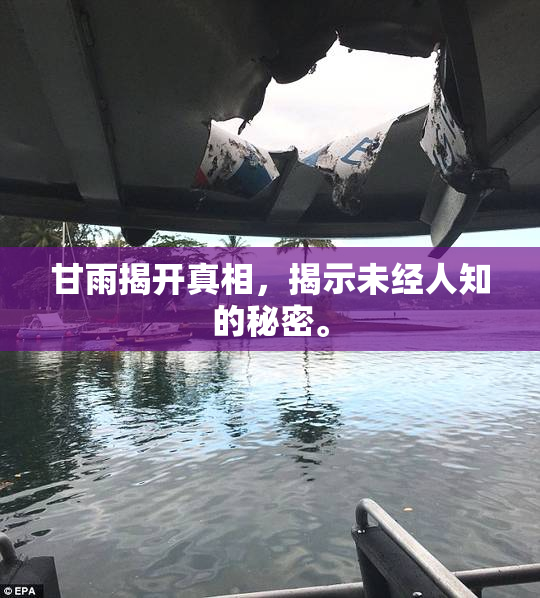 甘雨揭开真相，揭示未经人知的秘密。