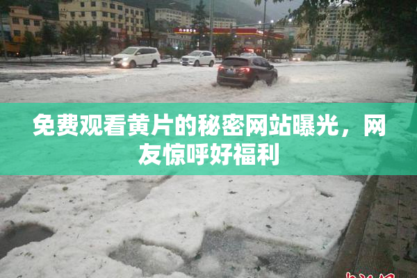 免费观看黄片的秘密网站曝光，网友惊呼好福利