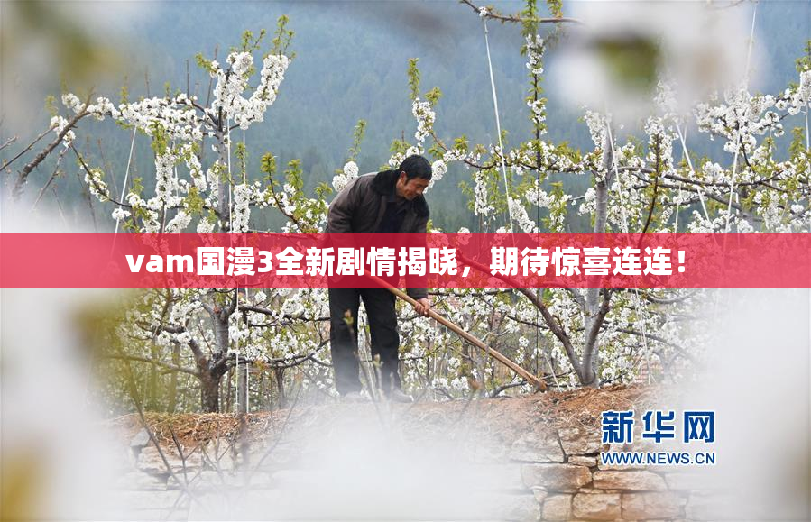 vam国漫3全新剧情揭晓，期待惊喜连连！