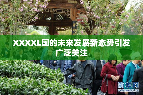 XXXXL国的未来发展新态势引发广泛关注