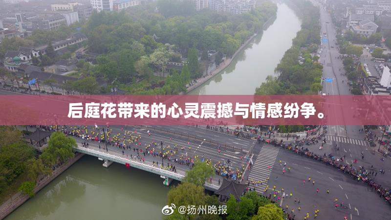 后庭花带来的心灵震撼与情感纷争。