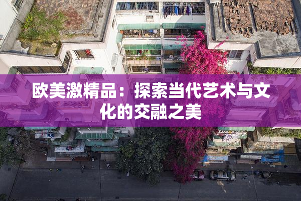 欧美激精品：探索当代艺术与文化的交融之美