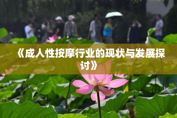 《成人性按摩行业的现状与发展探讨》