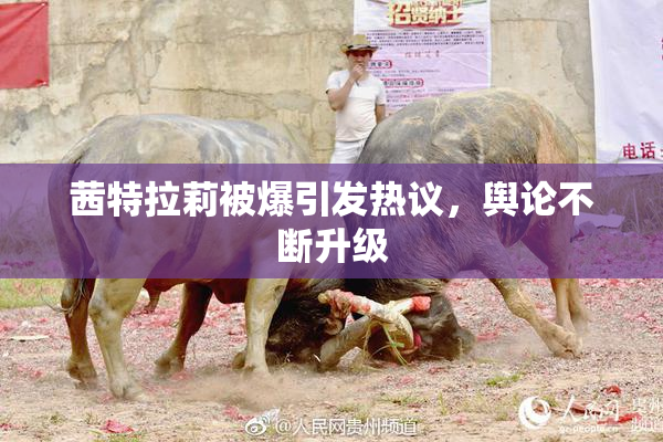茜特拉莉被爆引发热议，舆论不断升级