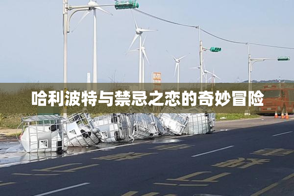 哈利波特与禁忌之恋的奇妙冒险