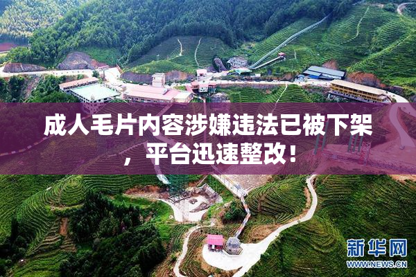成人毛片内容涉嫌违法已被下架，平台迅速整改！