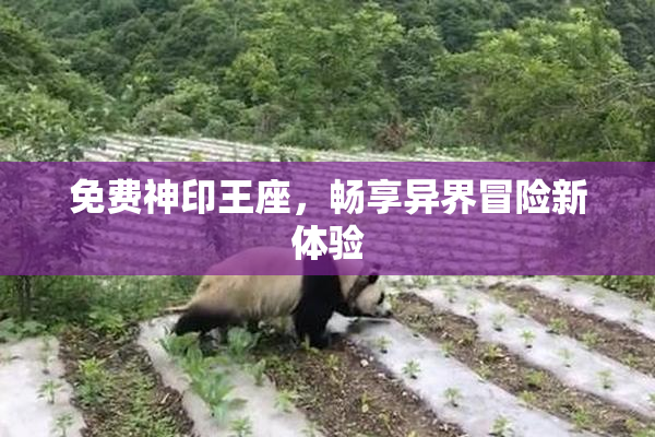 免费神印王座，畅享异界冒险新体验