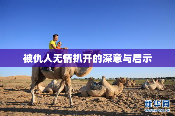 被仇人无情扒开的深意与启示