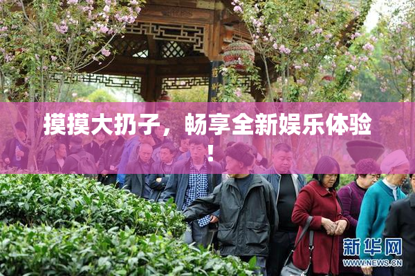 摸摸大扔子，畅享全新娱乐体验！