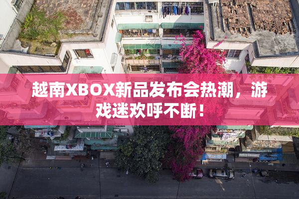 越南XBOX新品发布会热潮，游戏迷欢呼不断！