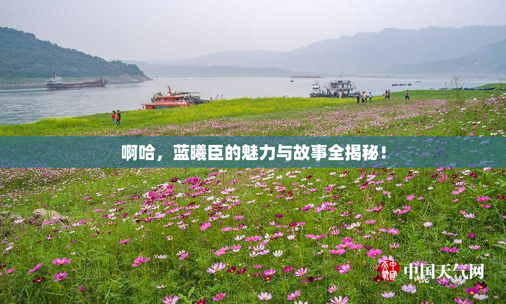 啊哈，蓝曦臣的魅力与故事全揭秘！