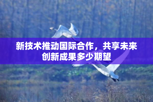 新技术推动国际合作，共享未来创新成果多少期望