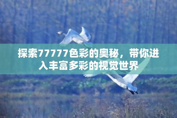 探索77777色彩的奥秘，带你进入丰富多彩的视觉世界