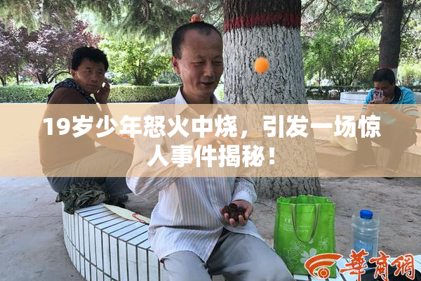 19岁少年怒火中烧，引发一场惊人事件揭秘！