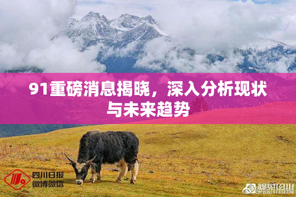 91重磅消息揭晓，深入分析现状与未来趋势