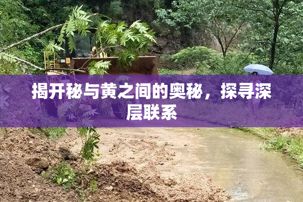 揭开秘与黄之间的奥秘，探寻深层联系