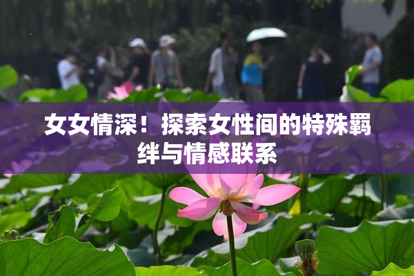 女女情深！探索女性间的特殊羁绊与情感联系