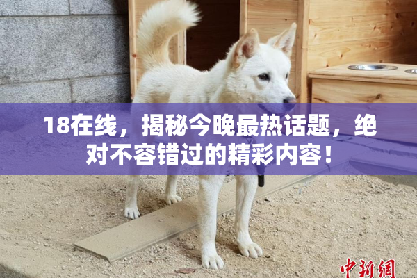 18在线，揭秘今晚最热话题，绝对不容错过的精彩内容！