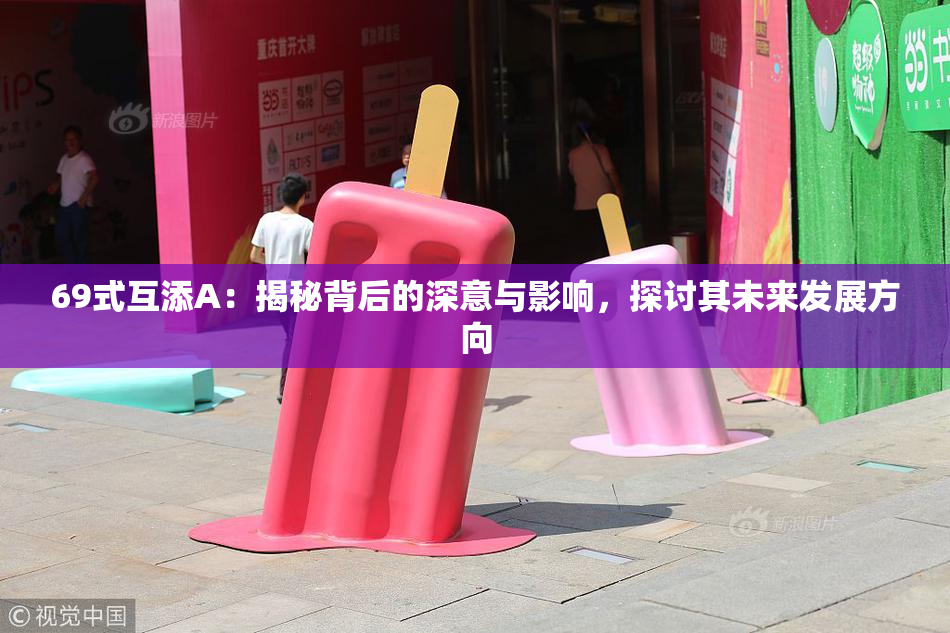 69式互添A：揭秘背后的深意与影响，探讨其未来发展方向