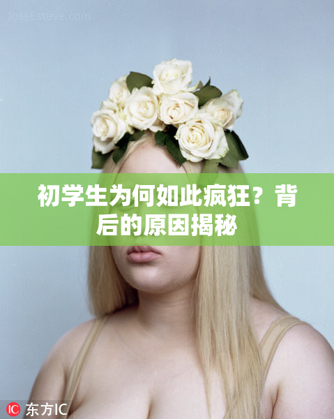 初学生为何如此疯狂？背后的原因揭秘