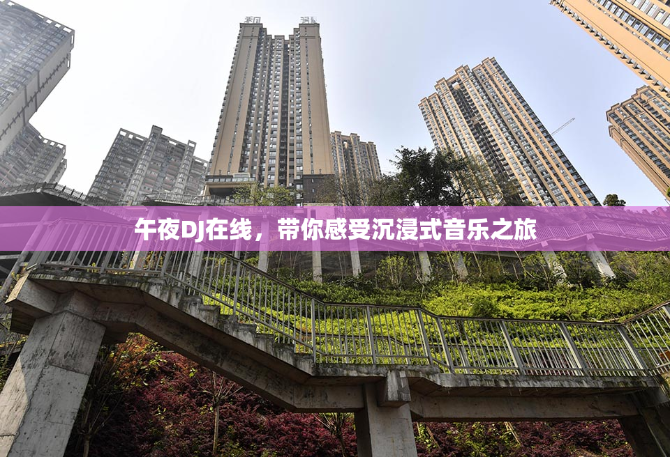 午夜DJ在线，带你感受沉浸式音乐之旅