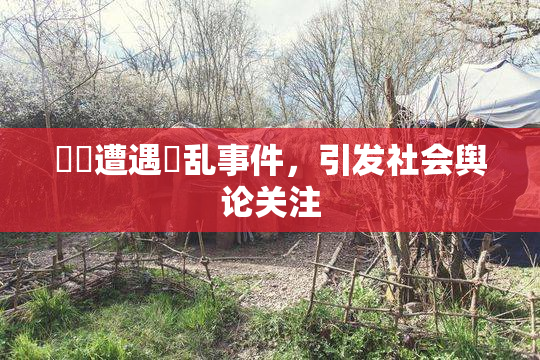 妺妺遭遇婬乱事件，引发社会舆论关注