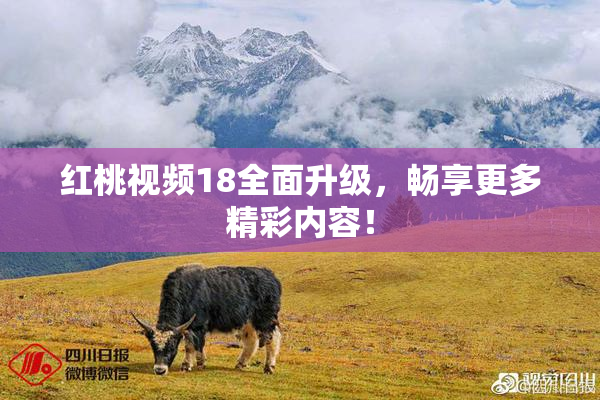 红桃视频18全面升级，畅享更多精彩内容！