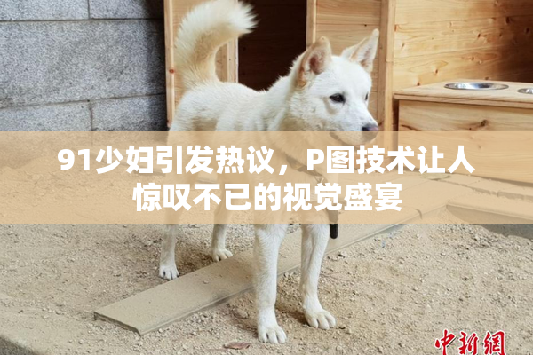 91少妇引发热议，P图技术让人惊叹不已的视觉盛宴