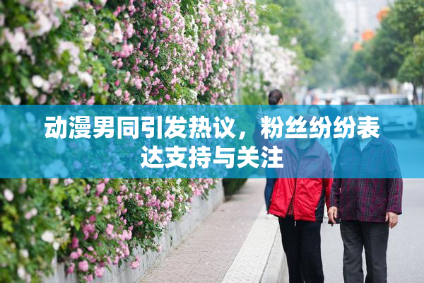 动漫男同引发热议，粉丝纷纷表达支持与关注