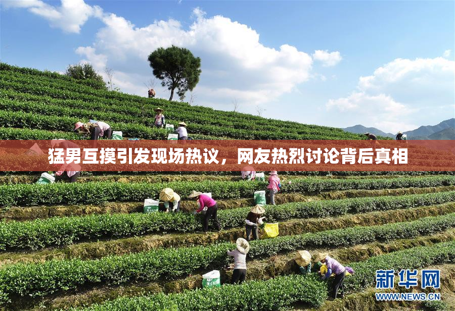 猛男互摸引发现场热议，网友热烈讨论背后真相
