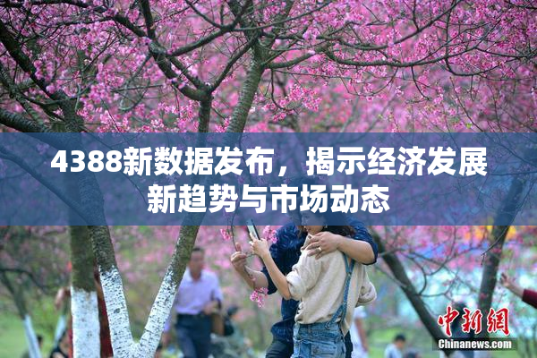 4388新数据发布，揭示经济发展新趋势与市场动态