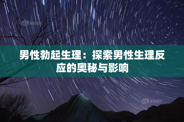 男性勃起生理：探索男性生理反应的奥秘与影响