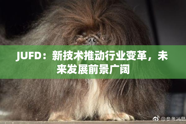 JUFD：新技术推动行业变革，未来发展前景广阔