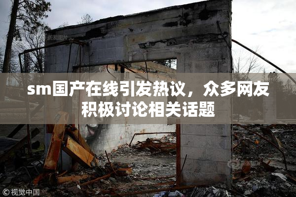 sm国产在线引发热议，众多网友积极讨论相关话题